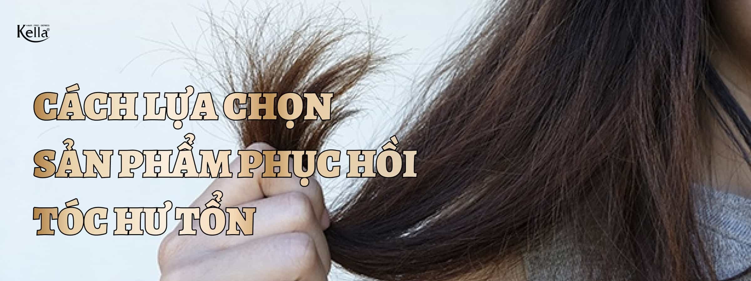 Cách chọn những sản phẩm tốt cho tóc giúp phục hồi mái tóc hư tổn hiệu quả